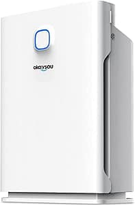Get the Air You Need with the Envion Allergy Pro AP200