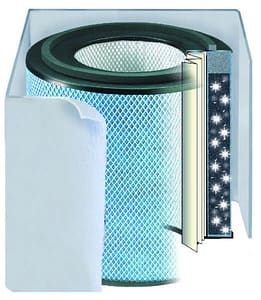 Review: The Austin Air HealthMate Air Purifier Is the Best on the Market