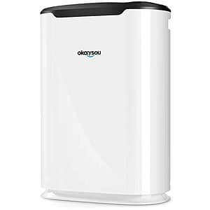 Honest Okaysou AirMax8L Air Purifier Review: Pros, Cons and Verdict