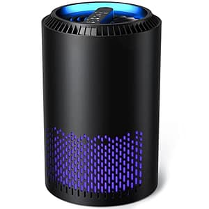 AllerAir 6000 Air Purifier Review: Is It Worth the Price?