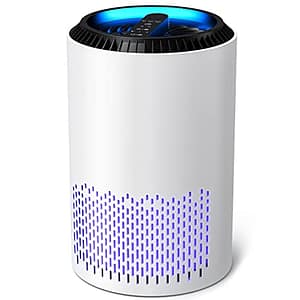 10 Best Air Purifiers for Smoke Removal