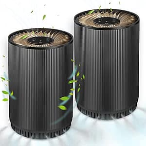 10 Air Purifiers That Will Keep Your Home or Office Mold-Free
