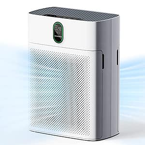 The 10 Best Air Purifiers for Dust Allergy Sufferers