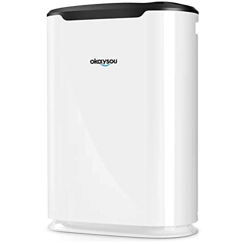 Honest Okaysou AirMax8L Air Purifier Review: Pros, Cons and Verdict